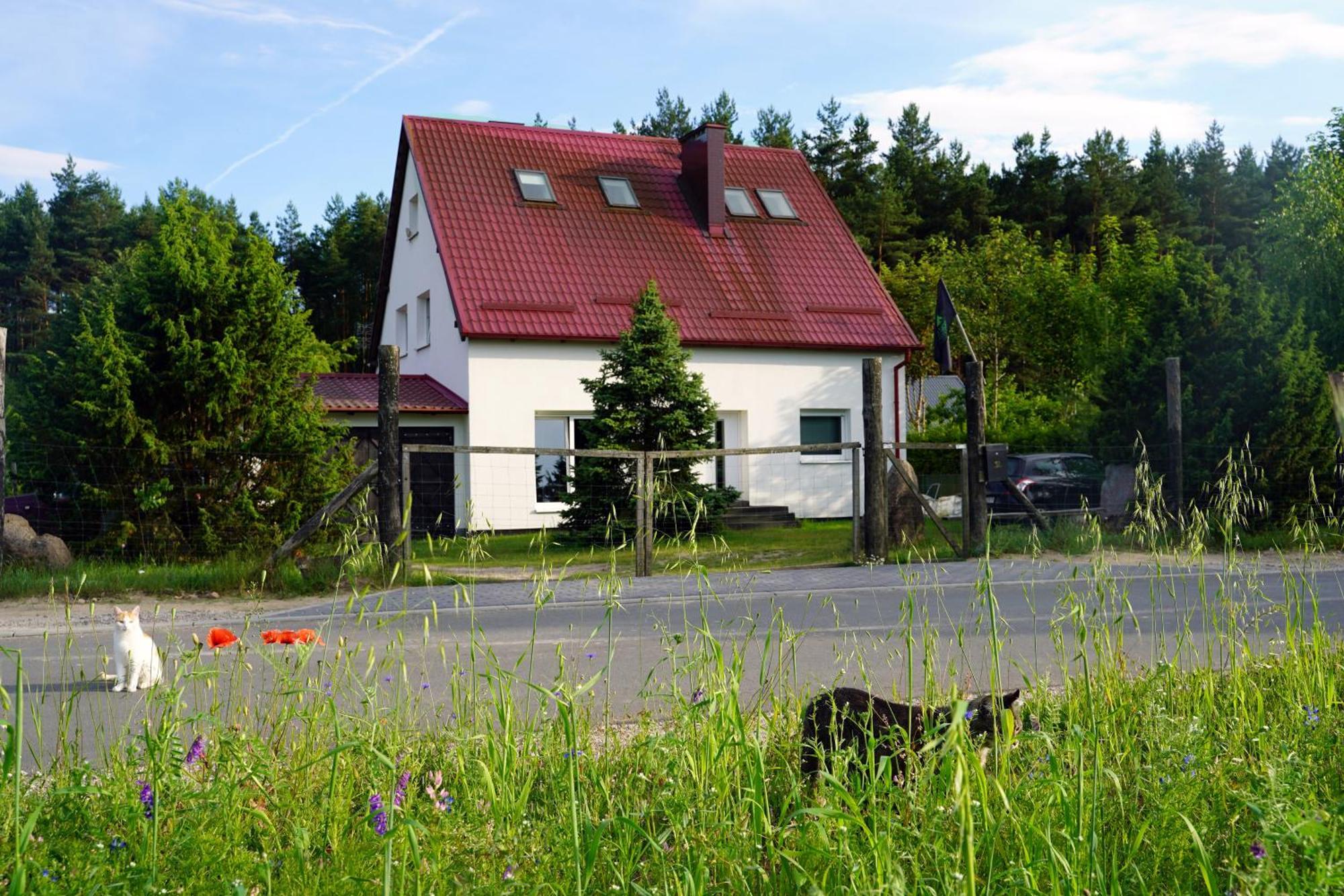 Lesna Kryjowka Apartment Trzebciny Exterior photo